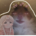 ~V i b e~