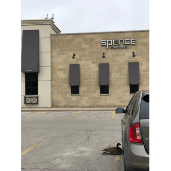 goose sitting next to a tire, haha silly goose