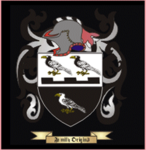 Knights of Solamnia