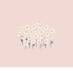 Crystal_cloudS group