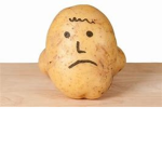 the cuIt of potatos