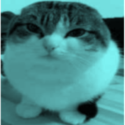 Temple Of Wawa Cat