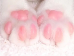 Puwshop Group Thumbnail