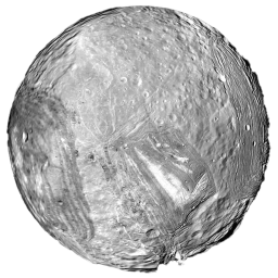 Miranda icon