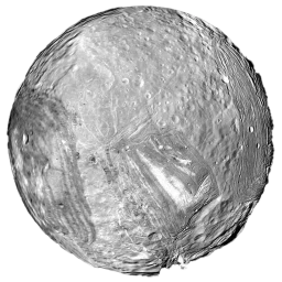 Miranda icon