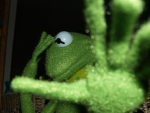 { The Muppet Group }