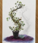 Group for people who love plants!