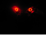 The Eyes Master