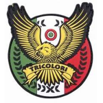 Forze combattive Italiane