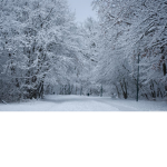 Chilled Park