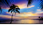 Paradise in lifetime