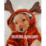 MAYL1NS HANGOUT!