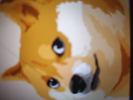 Doges armys1