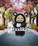 Team exxlika