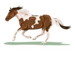 Horse love fashion