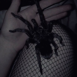 ☺