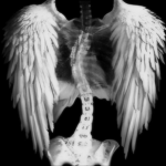 ୨୧Next Angel୨୧ Group Thumbnail