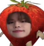 Seungmin Berry Cult