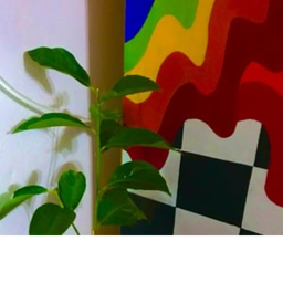 Art Club Training Center