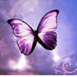 ~ Butterfly ~ [Official]