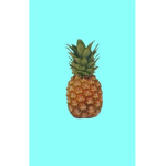 HOT PINEAPPLES ONLY