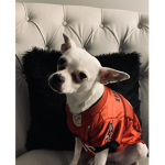 Baby Doggo1214