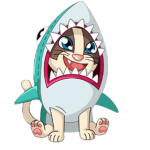 #Team Sharky