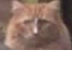 Ｌｏｃａｌ ＴｈｅｒａｐｙSad group for sad gamer ;(