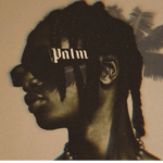 palm-angels