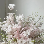 Isle Ivory Couture