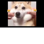 Huskies United nations