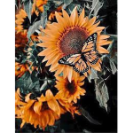 SunnieFlower