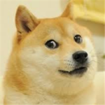 DOGE COLONYS