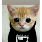mr cat raiding crew!