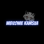 Widzowie KamsXa!