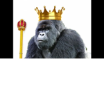 YT Kam Fan Group