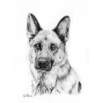 Join for a prize in follow me