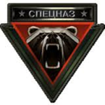Спецназ гвардии