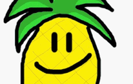 Ananas obby