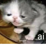 ⋆ρℓαу∂αтє⋆