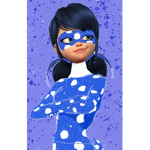 The Official Miraculous Ladybug And Chatnoir