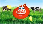 Real Dairy.
