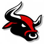 Wild Bulls