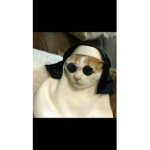 _._[FINOS SEÑORES Y SEÑORITAS]_._
