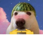 CopyRii