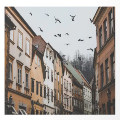 slovenia street aesthetic Roblox decal