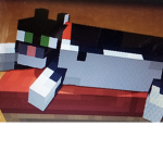 Mr BlockHead