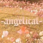 - a n g e l i c a l -