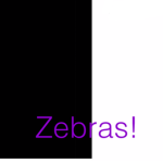 The Zebraz