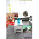 A rat place